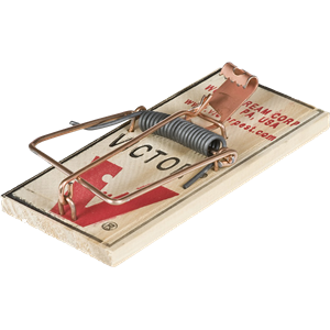 Mouse trap PNG-28433